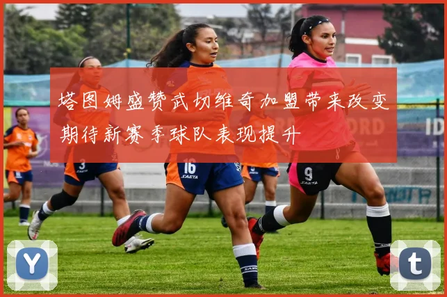 塔图姆盛赞武切维奇加盟带来改变期待新赛季球队表现提升
