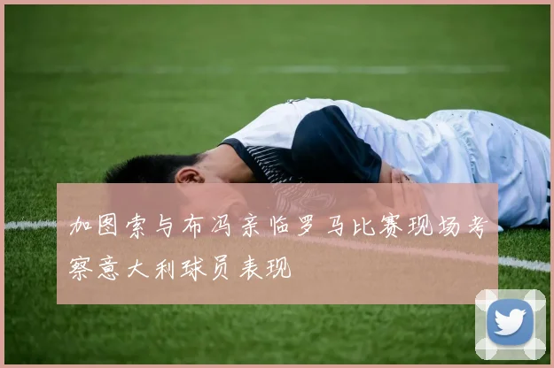 加图索与布冯亲临罗马比赛现场考察意大利球员表现