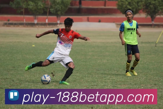 188bet平台生态图